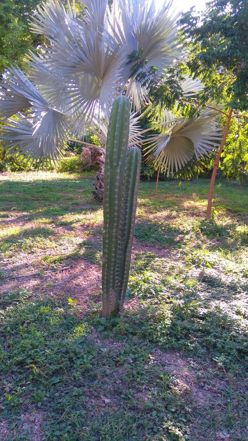 Arizona Ranch Hotel Girardot Exterior foto